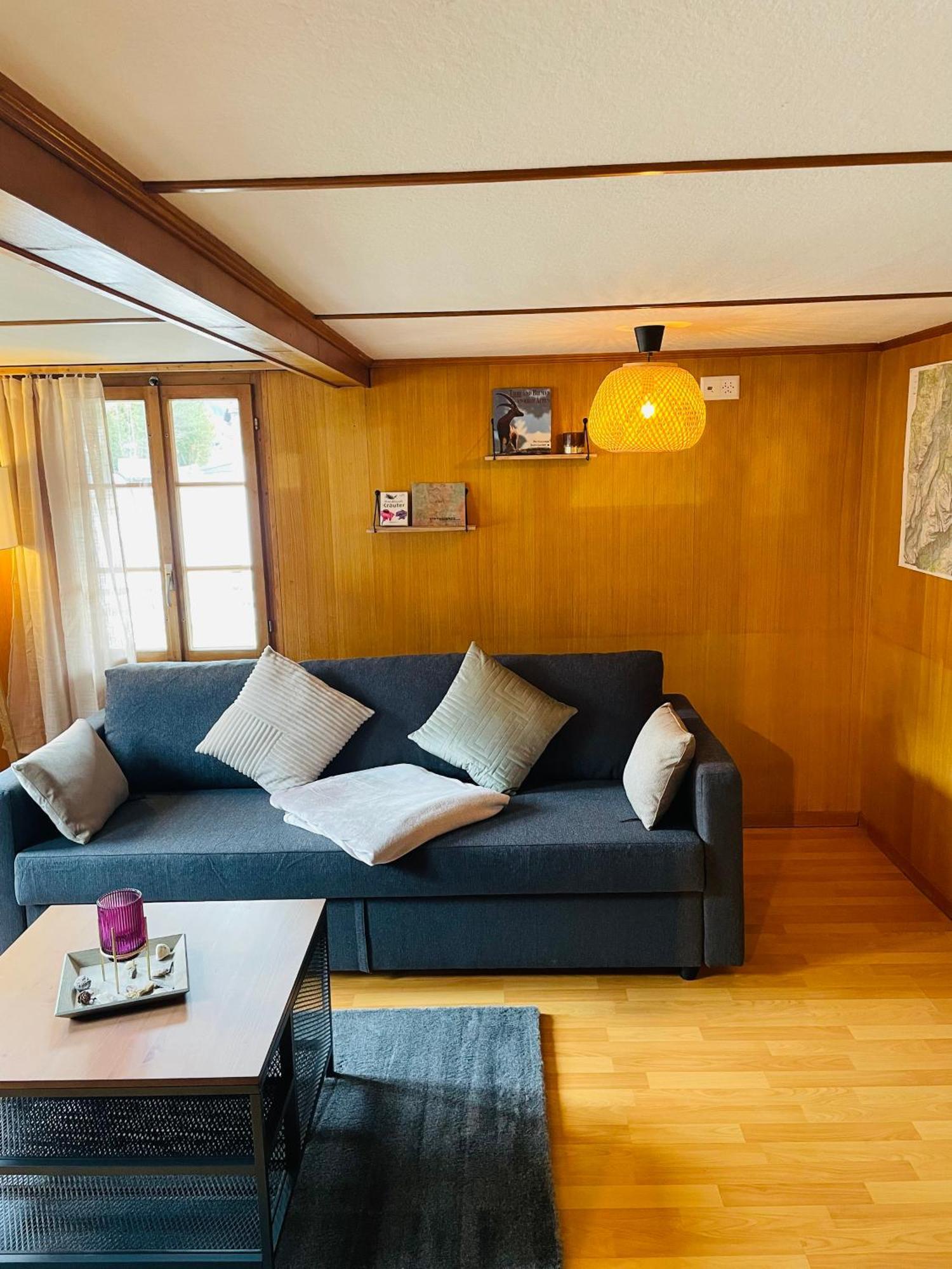 Lovely & Great Equipped Wooden Alp Chalet Flat 坎德施泰格 外观 照片