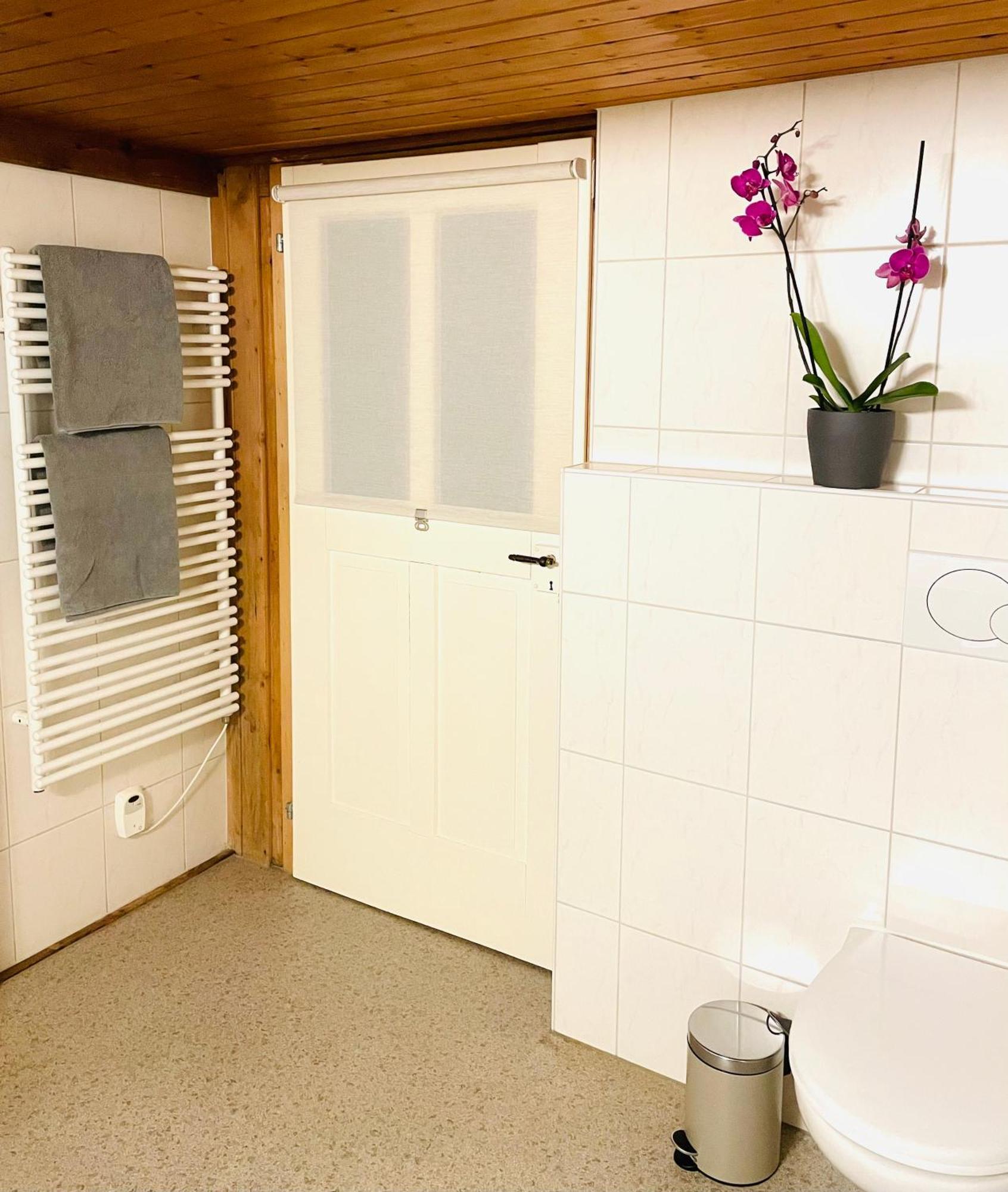 Lovely & Great Equipped Wooden Alp Chalet Flat 坎德施泰格 外观 照片